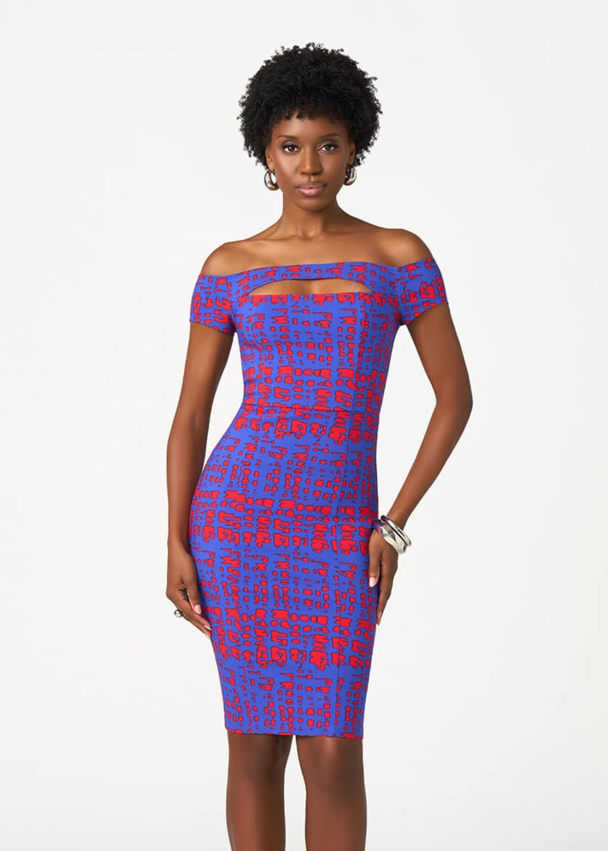 Keruba African Print Fitted Dress