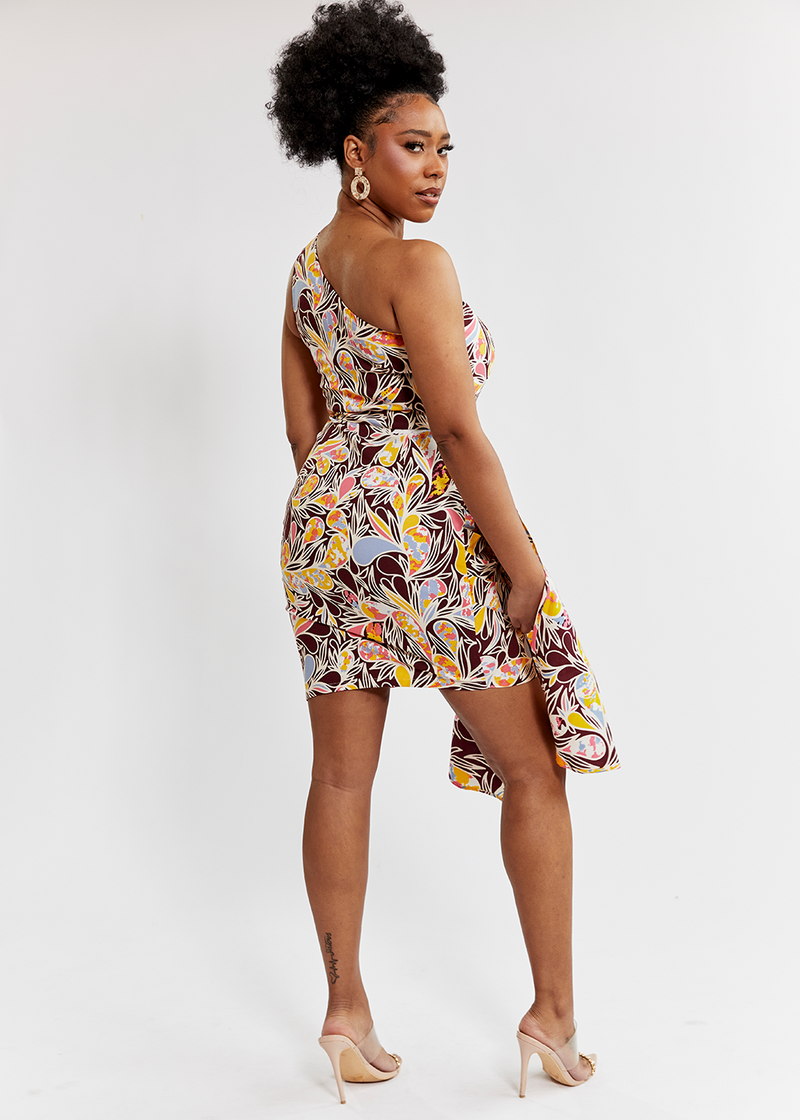 Hana Women's African Print Stretch Dress (Tropical Paisley)