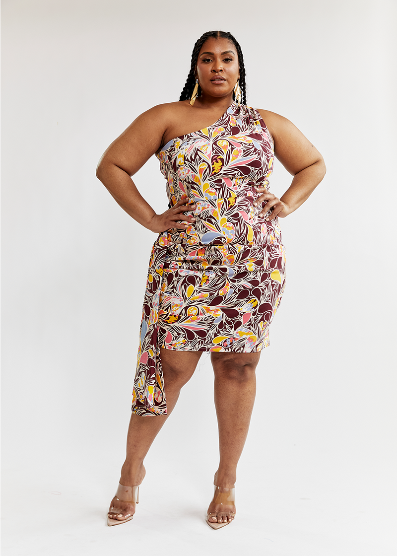 Hana Women's African Print Stretch Dress (Tropical Paisley)
